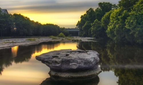 a rock in a pond