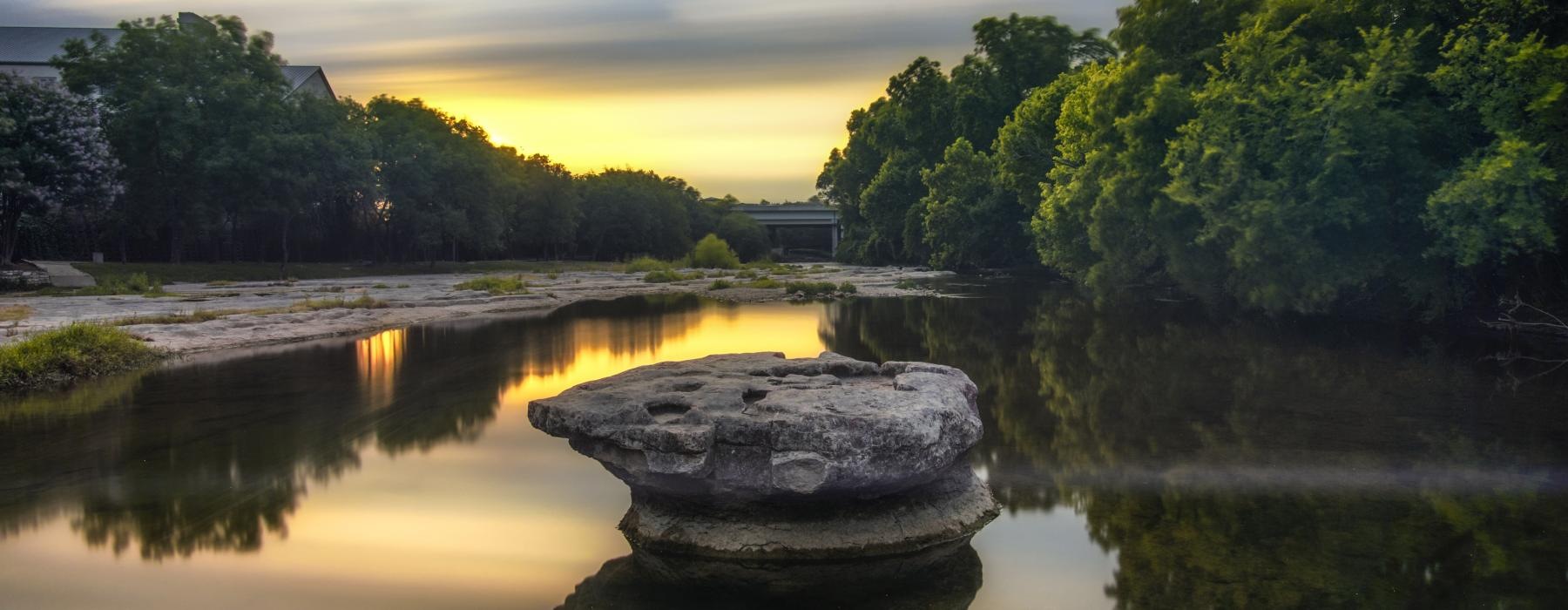 a rock in a pond